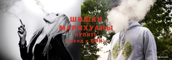 СК Аркадак