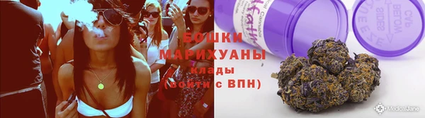 амф Арсеньев