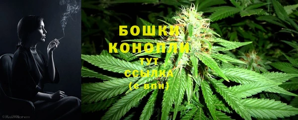 СК Аркадак