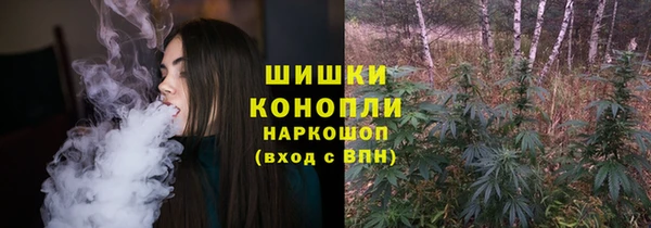амф Арсеньев